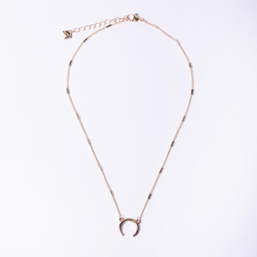 Horn Charm Necklace